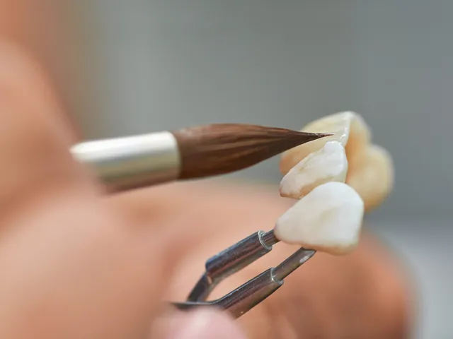 Zahntechnische Feinarbeit: Ein Pinsel trägt Keramikmasse auf einen Zahn auf.